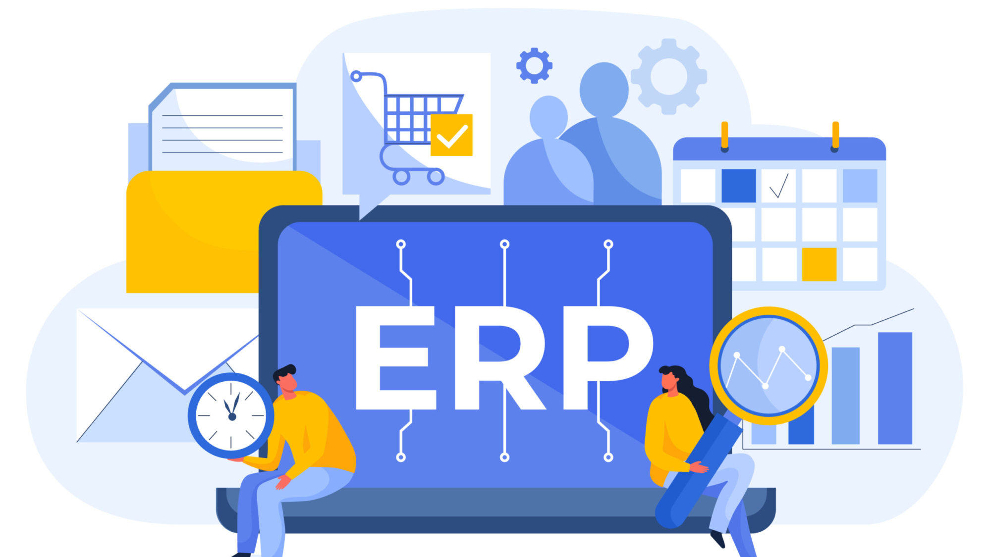 ERP Consultancy